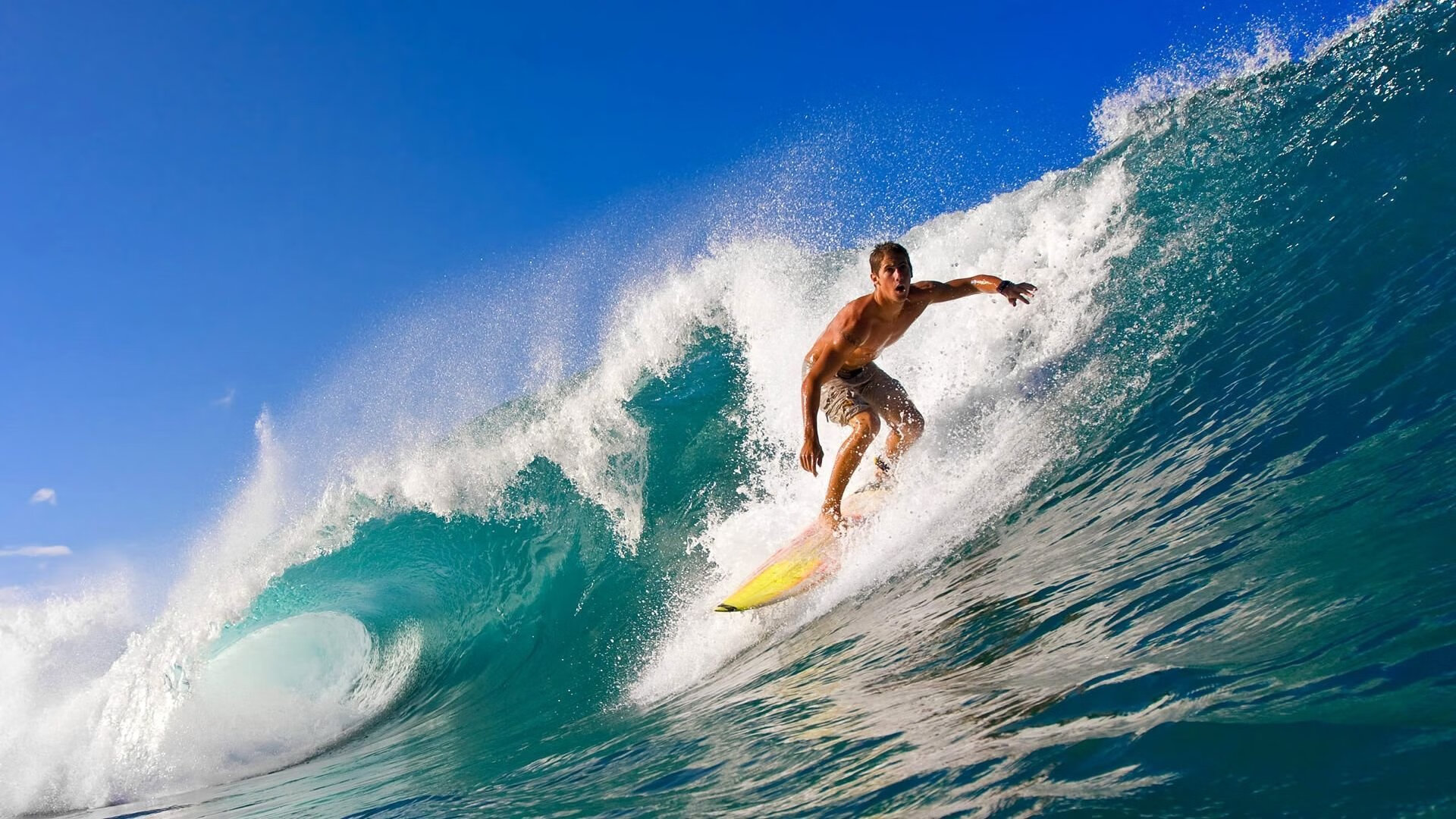 联合杯完胜法网？辛纳刷新纪录背后的网球新格局